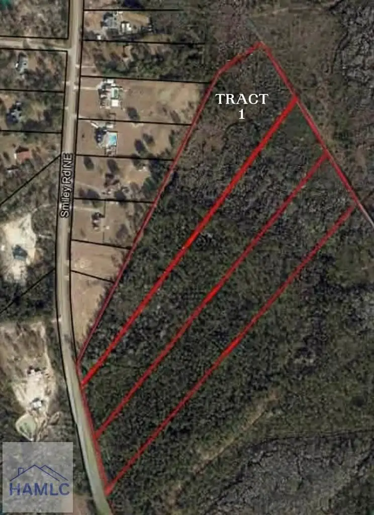 Tract 1 Smiley Road Ne, Ludowici, GA 31316 - Image #1