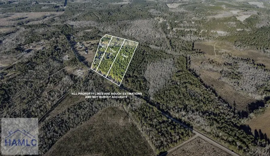 Tract 1 Smiley Road Ne, Ludowici, GA 31316 - #3