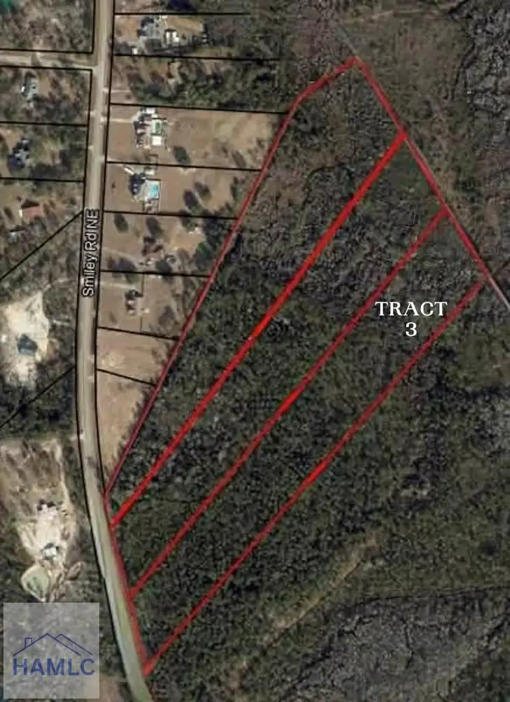 Tract 3 Smiley Road Ne, Ludowici, GA 31316 - Image #1