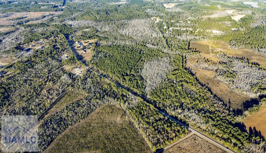 Tract 3 Smiley Road Ne, Ludowici, GA 31316 - #2