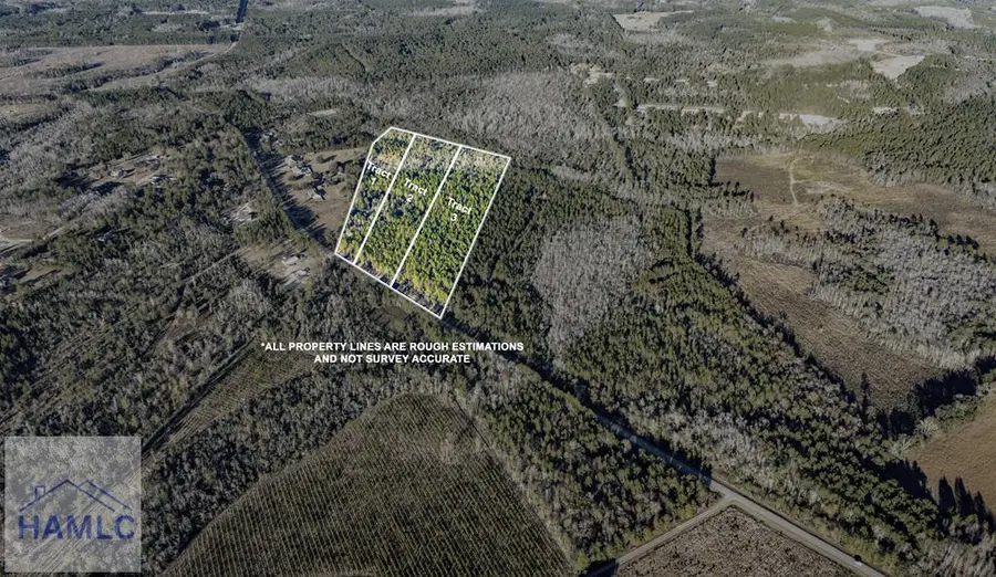 Tract 3 Smiley Road Ne, Ludowici, GA 31316 - #3