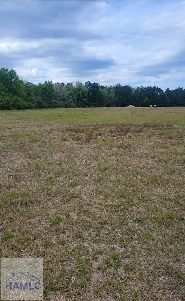 481&523 S. T. Morris Road, Ludowici, GA 31316 - Image #1