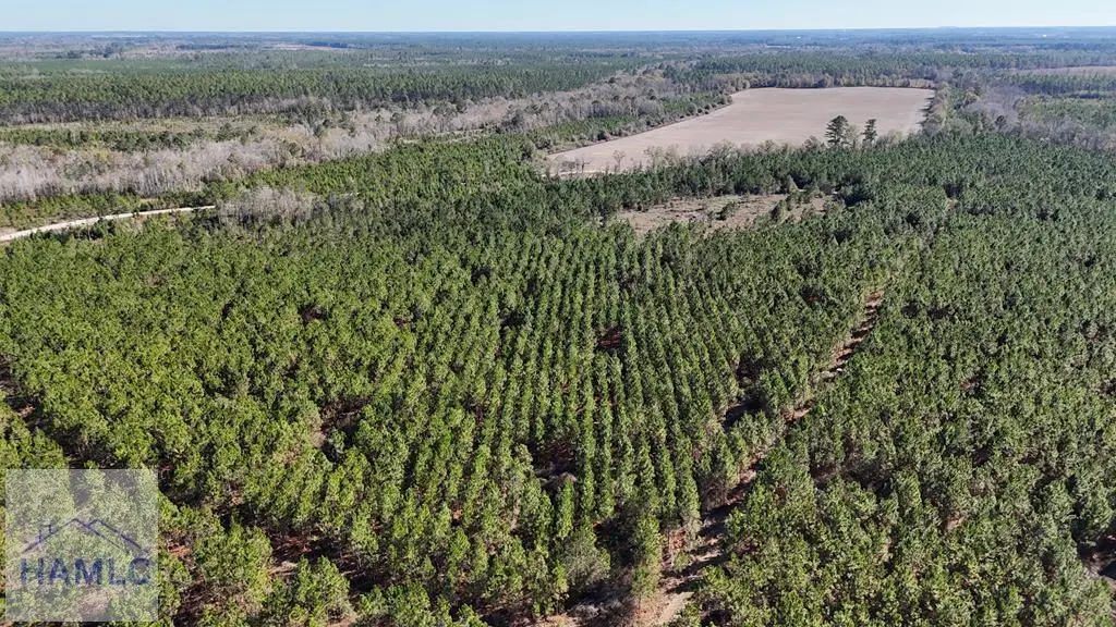 19 AC Owens Road, Odum, GA 31555 - Image #1