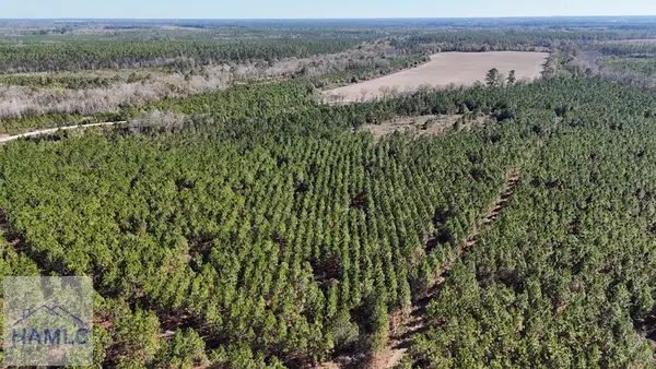 19 AC Owens Road, Odum, GA 31555