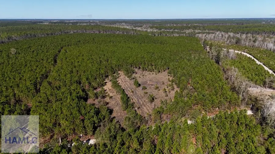 19 AC Owens Road, Odum, GA 31555 - Image #2