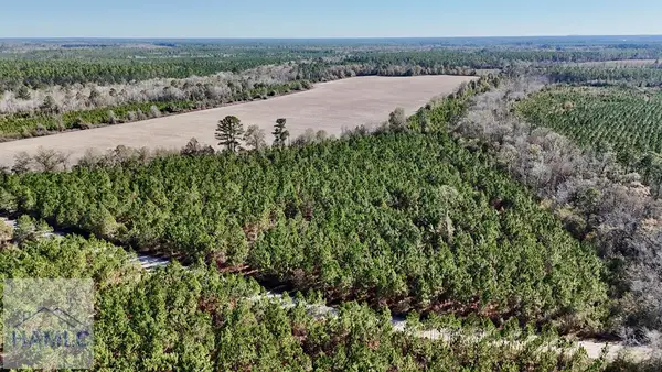 12 AC Owens Road, Odum, GA 31555