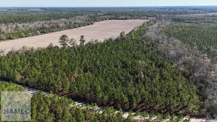 12 AC Owens Road, Odum, GA 31555 - Image #2