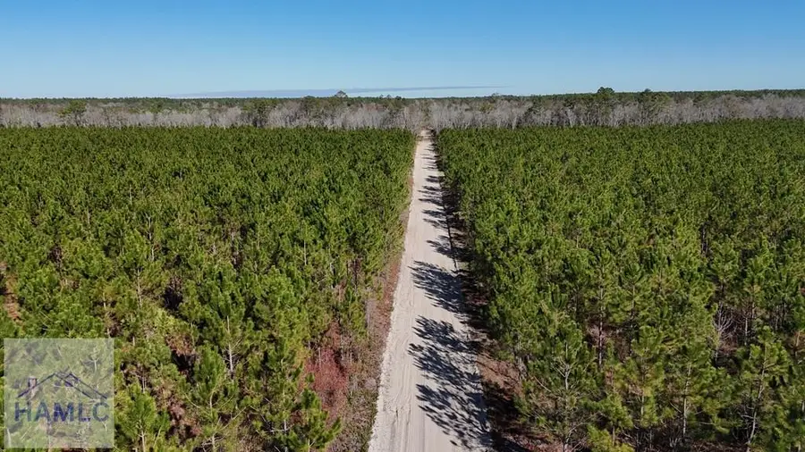 12 AC Owens Road, Odum, GA 31555 - Image #3