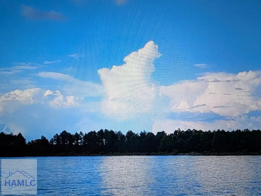 0 Jimmie Ree Lane, Bristol, GA 31518 - Image #2