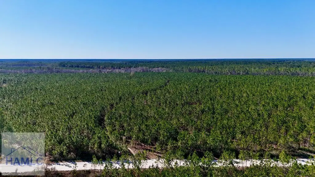 28 AC Owens Road, Odum, GA 31555 - #1