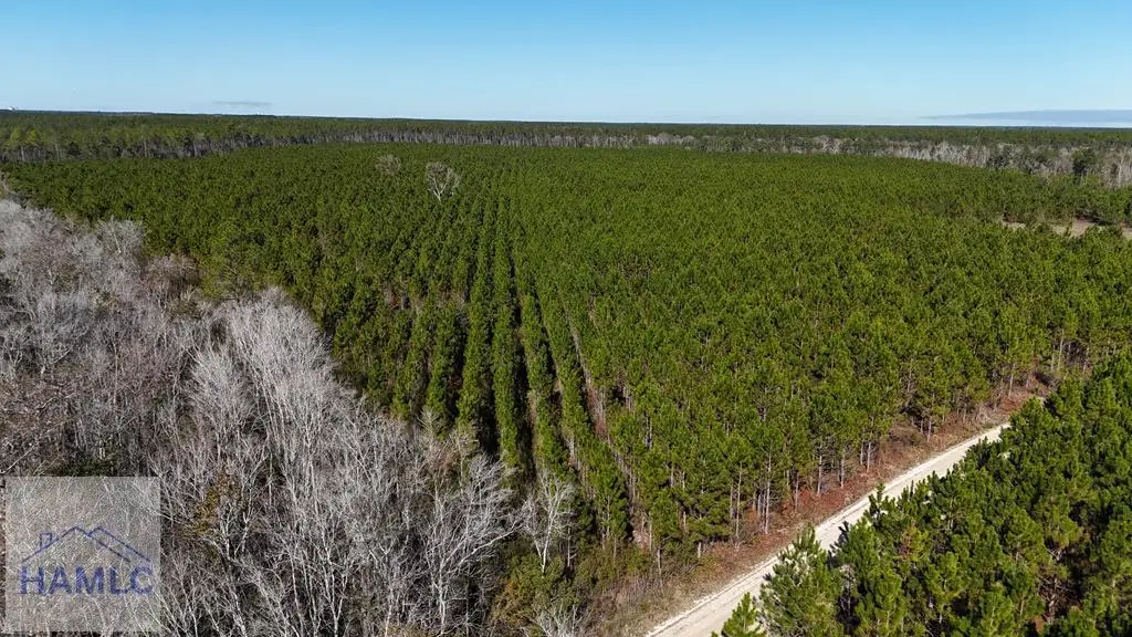 29 AC Owens Road, Odum, GA 31555 - Image #1