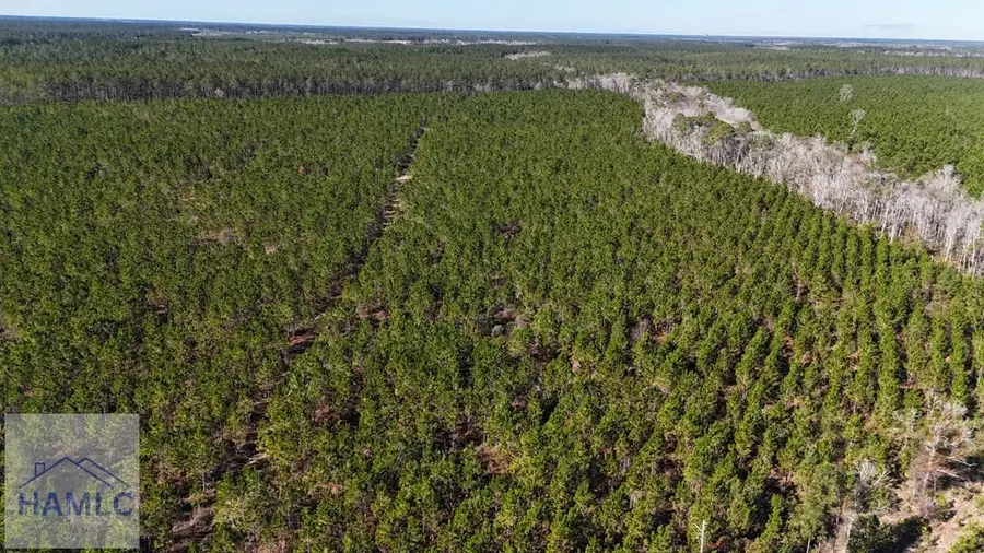 29 AC Owens Road, Odum, GA 31555 - Image #2