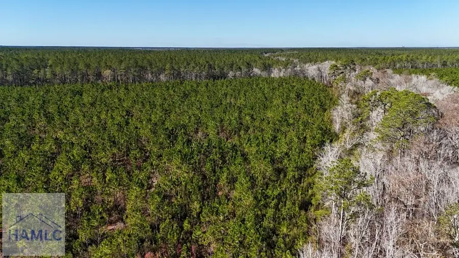 29 AC Owens Road, Odum, GA 31555 - Image #3