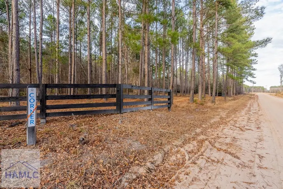 Lot 1 Arcola Road, Brooklet, GA 30415 - Image #3