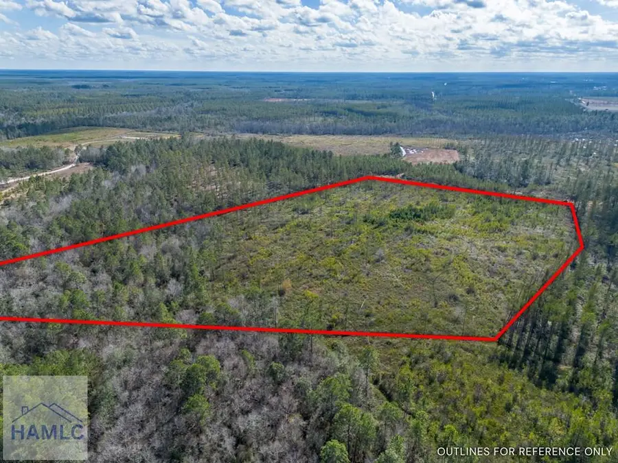 0 Barn Owl Lane, Waycross, GA 31552 - Image #3