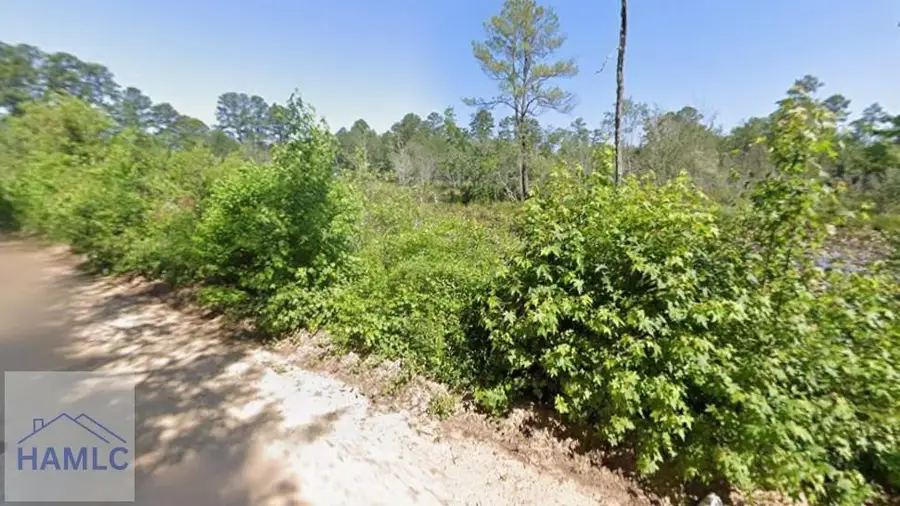 8 Henry Moxley Road, Cobbtown, GA 30420 - Image #3