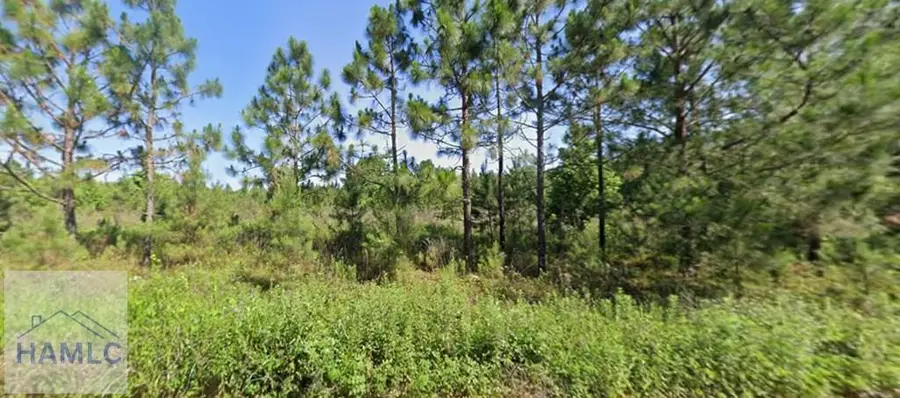 9 Henry Moxley Road, Cobbtown, GA 30420 - Image #2