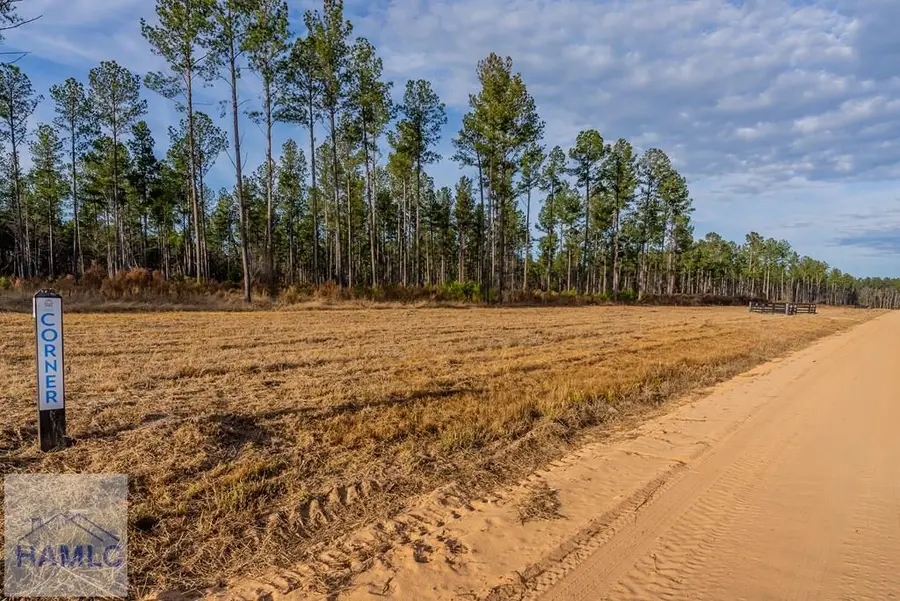 Lot 3 Arcola Road, Brooklet, GA 30415 - Image #3