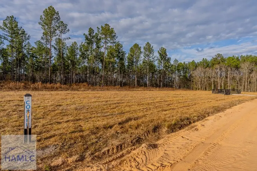 Lot 6 Arcola Road, Brooklet, GA 30415 - Image #3