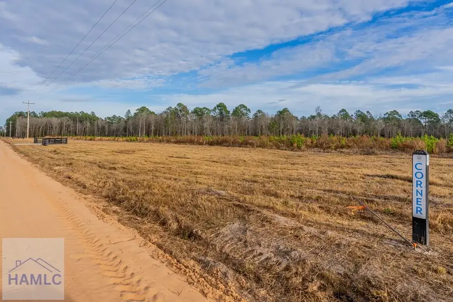 Lot 8 Arcola Road, Brooklet, GA 30415 - Image #3