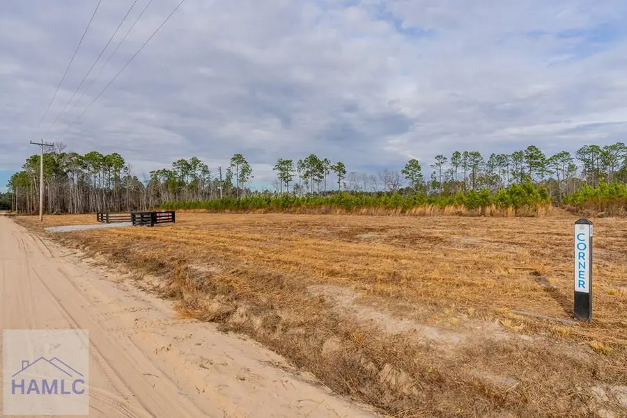 Lot 12 Bennett Grooms Road, Brooklet, GA 30415 - Image #2