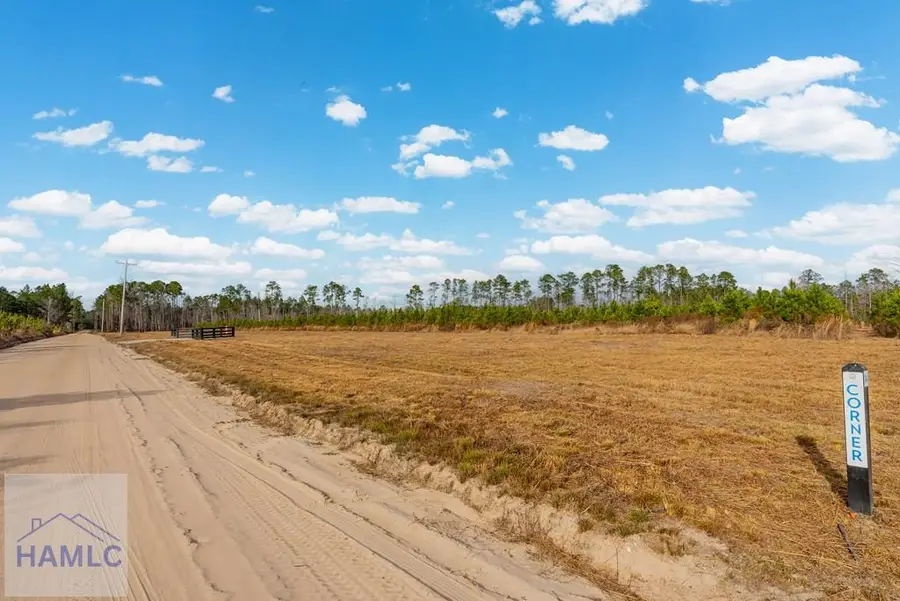 Lot 13 Bennett Grooms Road, Brooklet, GA 30415 - Image #2