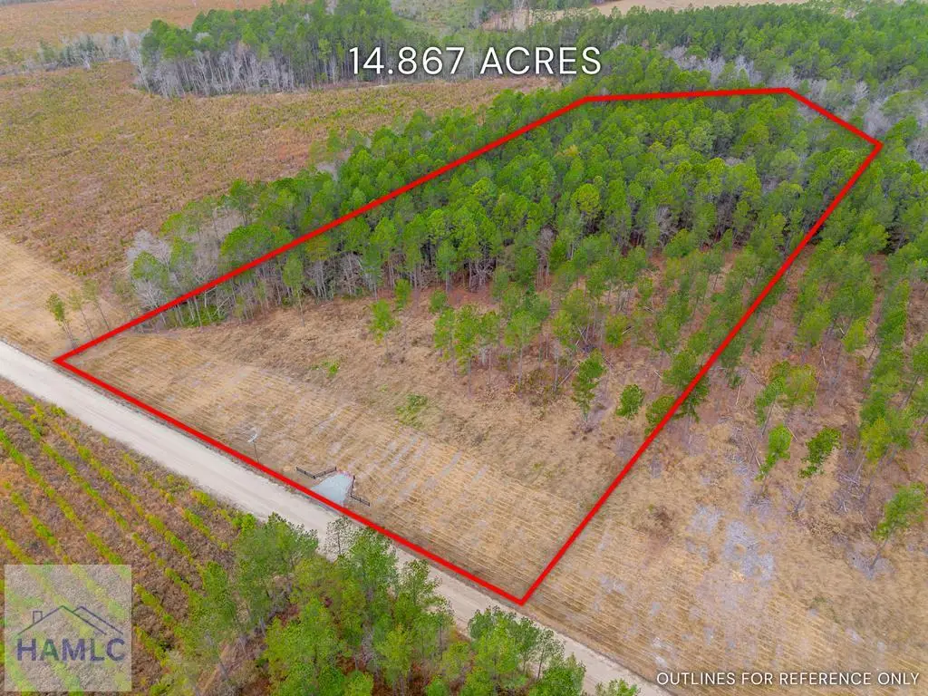 Lot 17 Lanes Church Road, Brooklet, GA 30415 - Image #1