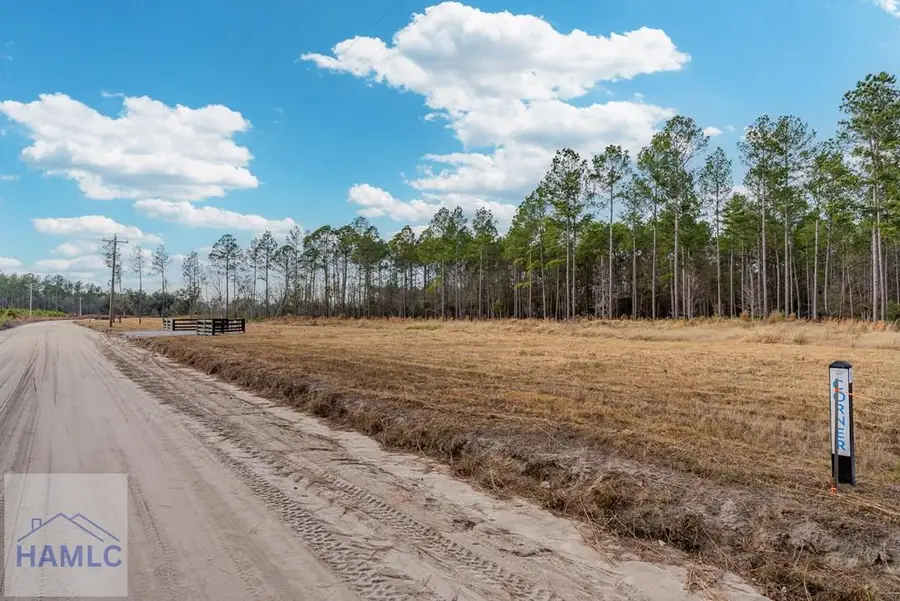 Lot 17 Lanes Church Road, Brooklet, GA 30415 - Image #2