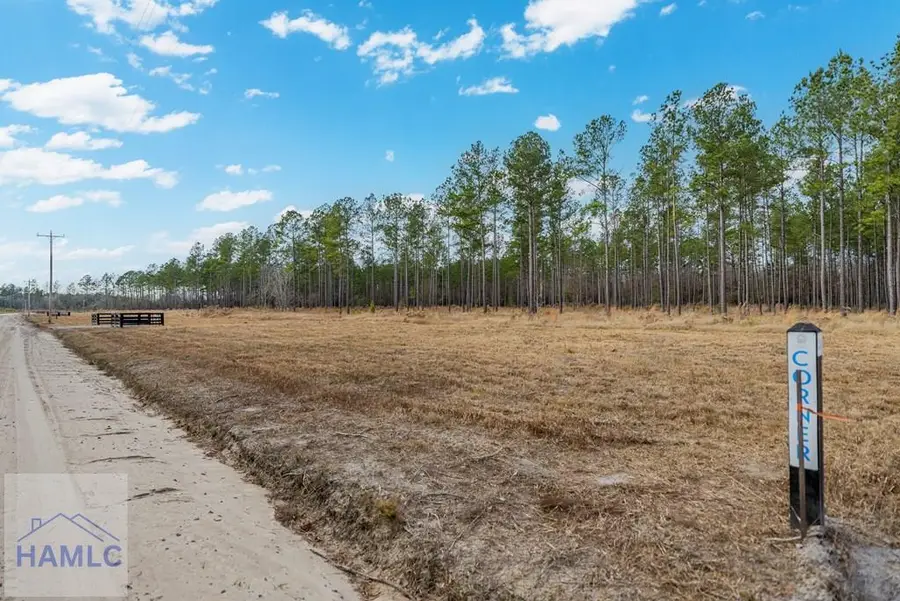 Lot 19 Lanes Church Road, Brooklet, GA 30415 - Image #2