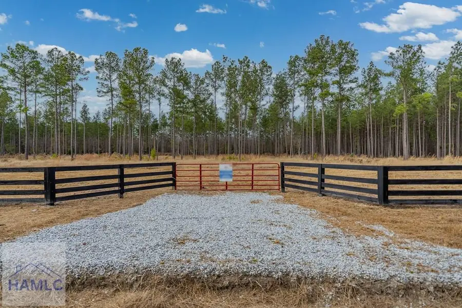 Lot 19 Lanes Church Road, Brooklet, GA 30415 - Image #3