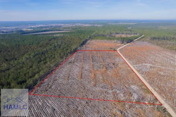 Tract 5 Morris Break Road, Odum, GA 31555