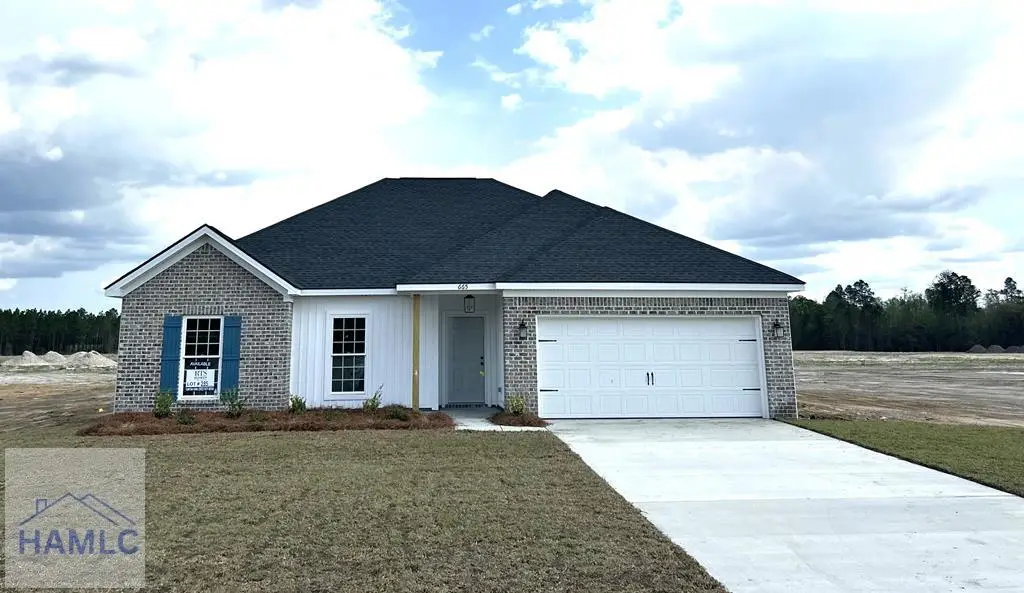 665 Doctor's Creek Road Ne, Ludowici, GA 31316 - #1