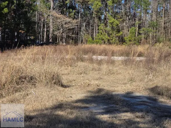 217 Westfield Road, Midway, GA 31320