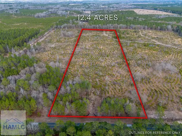 Tract 2 Bell Line Road, Eastman, GA 31023