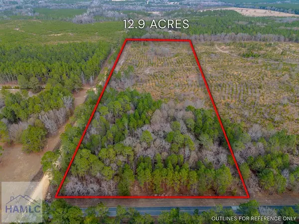 Tract 1 Wilson Woodard Road, Eastman, GA 31023