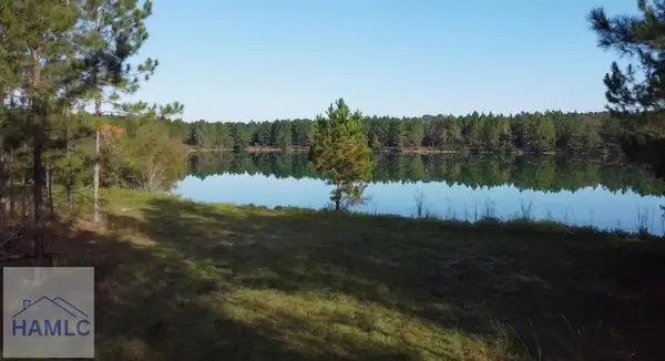 Tract 4 Brentwood Drive, Odum, GA 31555