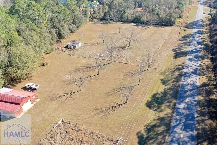 0 Loves Chapel Road, Glennville, GA 30427 - #3