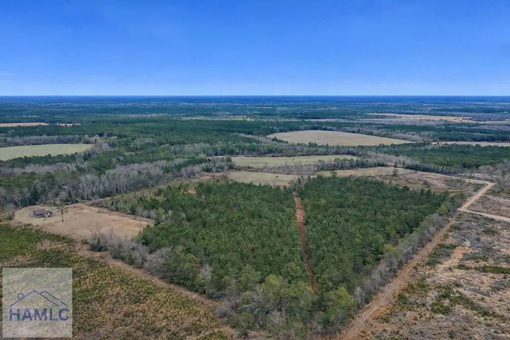 Tract 4 Reddish Road, Odum, GA 31555 - #1