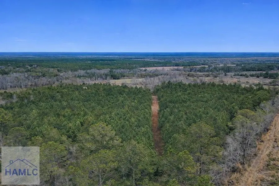 Tract 4 Reddish Road, Odum, GA 31555 - #3