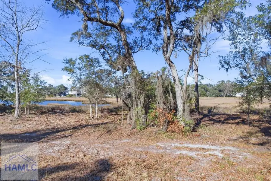 Lot 5 Bermuda Bluff Lane, Midway, GA 31320 - #2