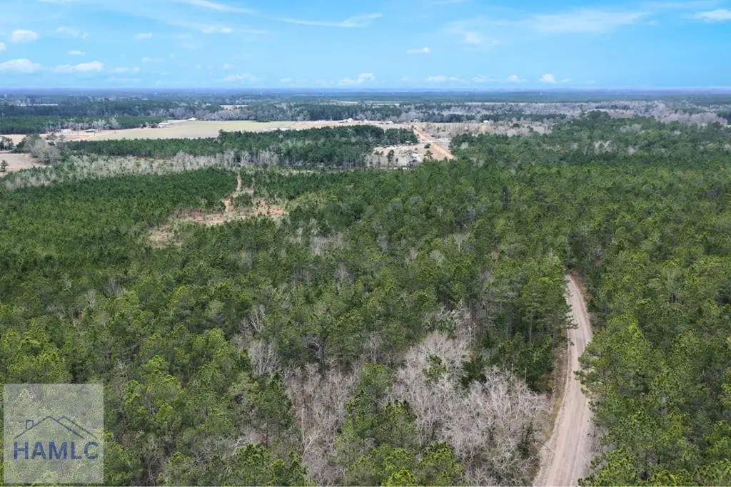 Tract 1 Wheaton Road, Odum, GA 31555 - #1
