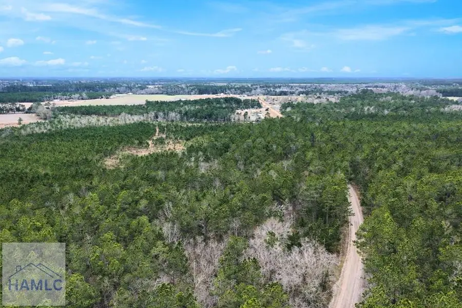 Tract 1 Wheaton Road, Odum, GA 31555 - #3