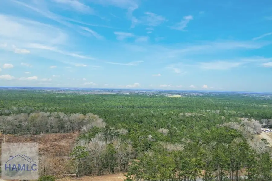 Tract 2 Tank Road, Odum, GA 31555 - #2