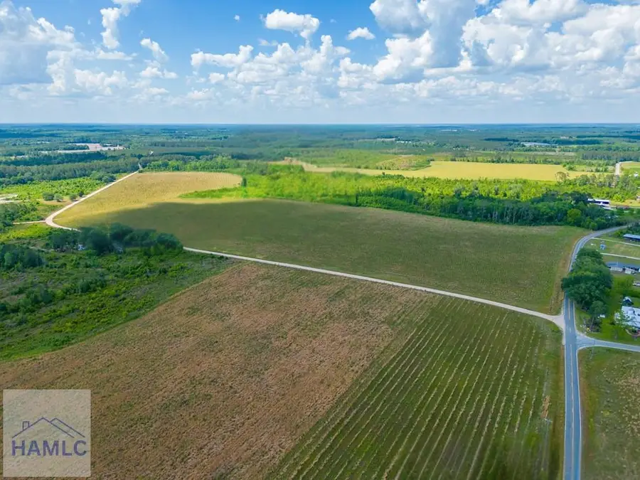 Tract 10 Sellers Road, Baxley, GA 31513 - #3