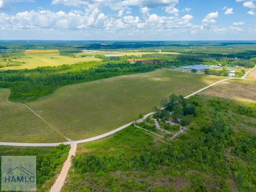 Tract 9 Sellers Road, Baxley, GA 31513 - #2