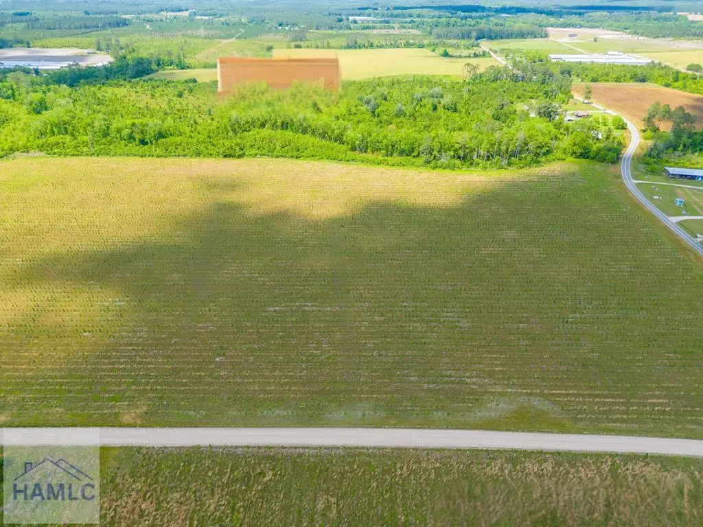Tract 11 Sellers Road, Baxley, GA 31513 - #1