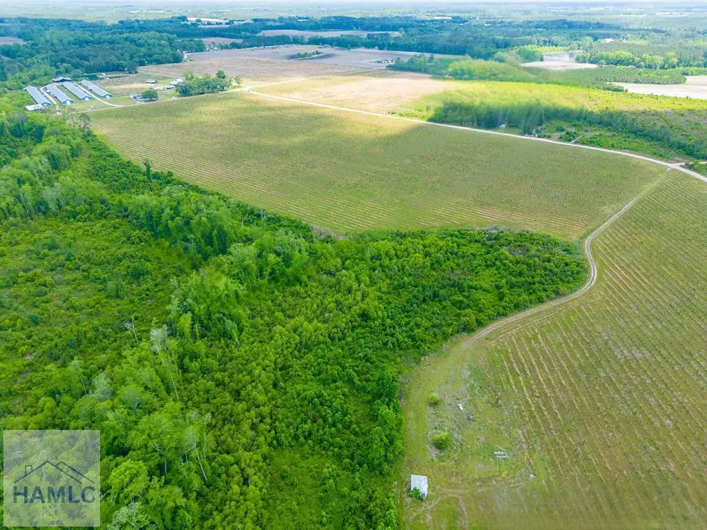 Tract 12 Sellers Road, Baxley, GA 31513 - #1