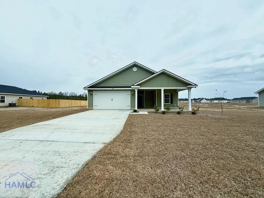 263 Lanier Road Ne, Ludowici, GA 31316 - #2