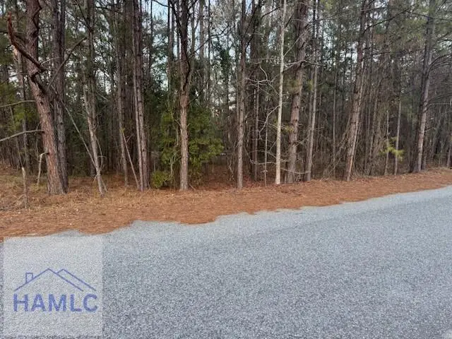 0 Pelican Cove Road, Midway, GA 31320 - #1