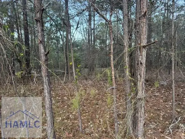 0 Pelican Cove Road, Midway, GA 31320 - #2